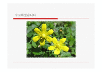 지역과 함께하는 늘 푸른 동산 삼신보육원-18
