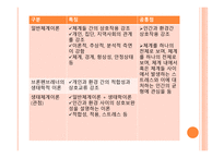 사회복지 실천의 통합적 접근방법-5