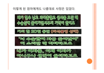 사회복지 실천의 통합적 접근방법-17