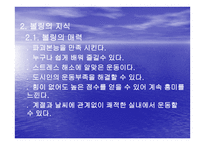 볼링에 관한 지식 보고서-4