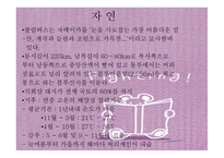 자메이카 국가 분석-10