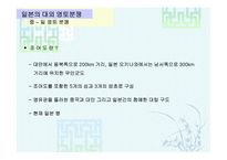 일본 정치의 이해-10