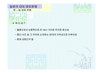 일본 정치의 이해-13