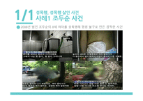 성폭행성폭력살인사건성폭력자의 화학적 거세 야동 포르노의 법적 규제 문제-2