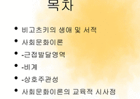 비고츠키 사회문화이론-2