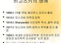 비고츠키 사회문화이론-3