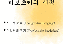 비고츠키 사회문화이론-4
