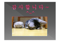 지역사회복지 의거 시적 실천방법-17