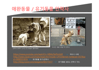 동양인의 삶과 지혜 안락사-11