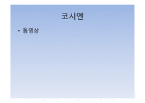 일본 청소년 문화-11