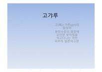 일본 청소년 문화-16