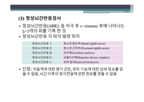 청각 생리와 청각장애-13
