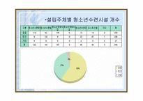 청소년수련관 운영실태와 문제점 수련거리 분석 중심-8