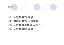 노인복지정책 레포트-2