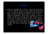 포르노에도 텍스트가 있는가-5