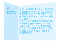 청소년사업의 유형과 접근방식-3