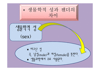 가족과 젠더 젠더와 성역할 사회화-7