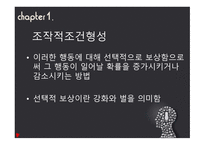 행동주의 보고서-4