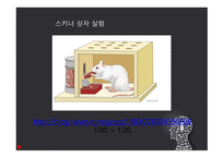 행동주의 보고서-6
