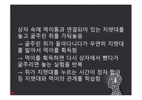행동주의 보고서-7