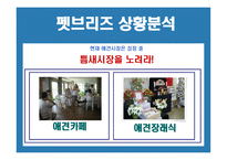 애견 사업계획서-8