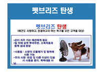 애견 사업계획서-10