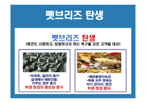 애견 사업계획서-11