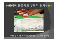 사이버 공동체 레포트-19