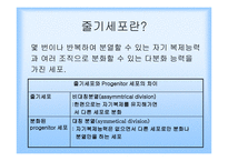 종교와 과학 종교와 현대사회 인터뷰-3