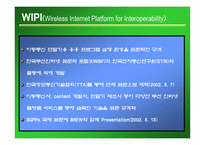 무선인터넷 Wireless Internet-8