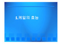 사업계획서 케일 셀러리 주스-3