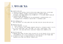 페미니스트 사회복지 실천모델-4