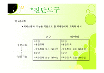 자폐 범주성 장애-19