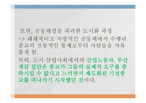 종교의 세속화 유형-20