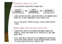 형사정책토론 미디어는 범죄를 유발하는가 억제하는가-11