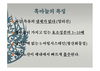 사업계획서 ㈜덕산식품-8
