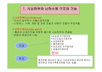 뇌하수체 장애 레포트-2