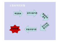 Beck의 인지 상담이론3-8