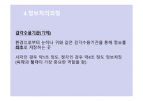 Beck의 인지 상담이론3-10