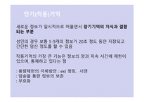 Beck의 인지 상담이론3-11