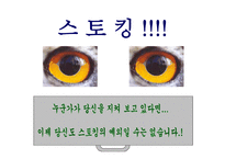 스토킹 보고서 레포트-1