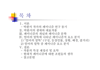 박완서의 페미니즘 연구 ‘엄마의 말뚝’을 통한 박완서의 페미니즘 분석-2