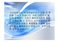 사이버범죄 레포트-4