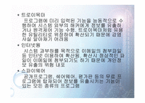 사이버범죄 레포트-15