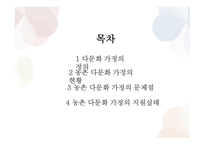 농촌 다문화가정의 현황 및 실태파악-2
