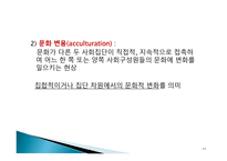 다문화사회와 사회복지문화적 다양성과 사회복지-11