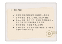 학교 부적응 행동-20