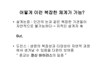 과학과 종교적인가 남인가 아니면 친구인가-8