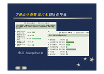인터넷 정치커뮤니케이션의 새로운 지평-13