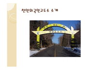 외국인 범죄와 교정-20